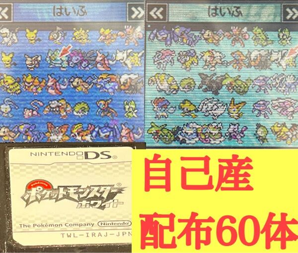 ポケットモンスターホワイト 自己産配布60体付き えいがかんなど