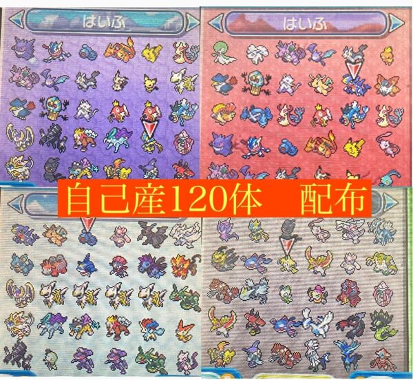 ポケットモンスターウルトラサン自己産120体付き
