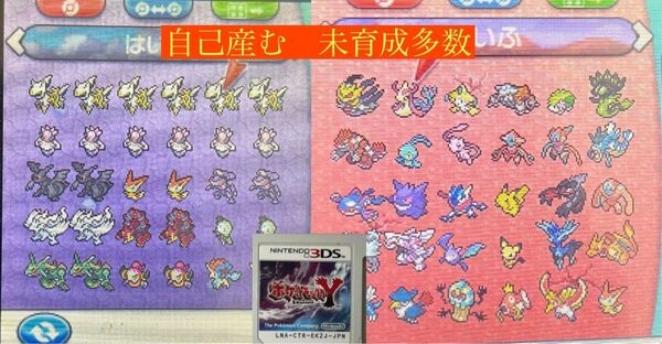 ポケットモンスターY 配布ポケモン 自己産多数