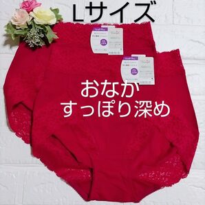 L◆トリンプ◆肌ざわりなめらか 7210◆はきこみ深め ショーツ◆2枚◆定価4.840円