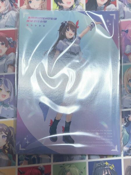 ホロライブ 5th fes Blu-ray 特典 イラストカード 全53枚