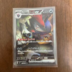 ポケモンカード Nのゾロアークex SAR