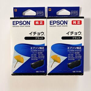 EPSON (エプソン) 純正 インク イチョウ ITH-BK ブラック 2本
