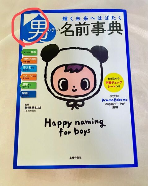輝く未来へはばたく男の子の名前事典 男の子名前 男の子命名 男の子名前