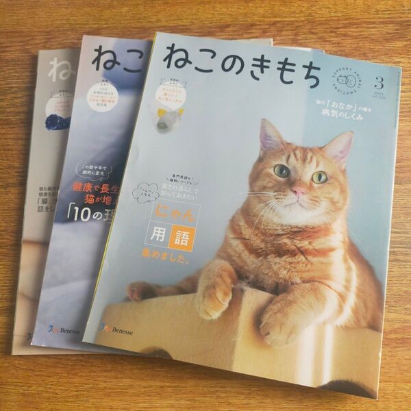 ねこのきもち 3冊セット 付録なし