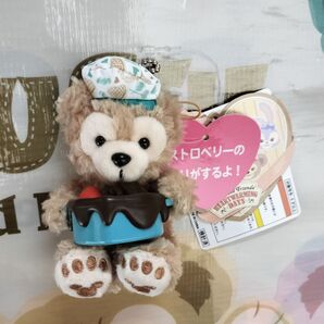 2020 ハートウォーミングデイズ ダッフィー ぬいぐるみストラップ 東京ディズニーシー