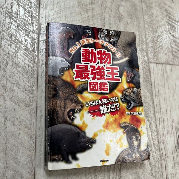 動物最強王図鑑