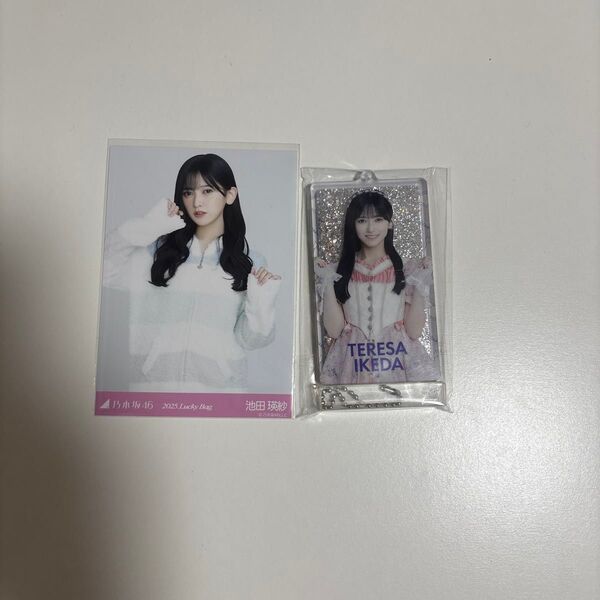 乃木坂46 生写真 乃木坂46生写真 アクリルブロック 池田瑛紗