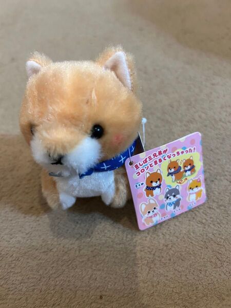 豆しば三兄弟 ぬいぐるみマスコット 豆太郎