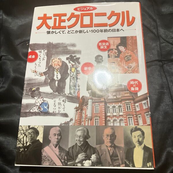 ビジュアル 大正クロニクル (懐かしくて、どこか新しい100年)