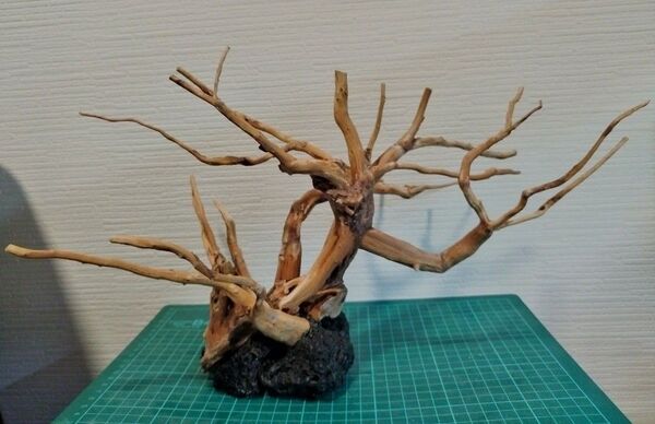 アクアリウム 流木レイアウト 盆栽