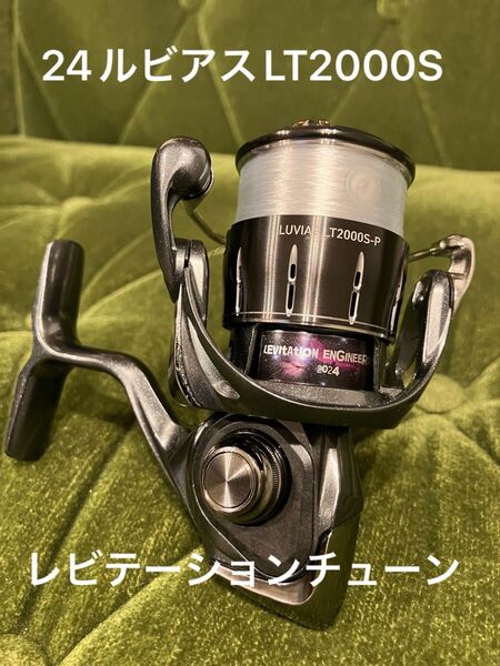 24ルビアス LT 2000S-P レビテーションエンジニアリング