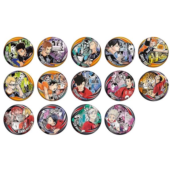 【店頭完売店舗あり】ハイキュー コレクション缶バッジ MEMORIES 烏野高校 音駒高校 10個