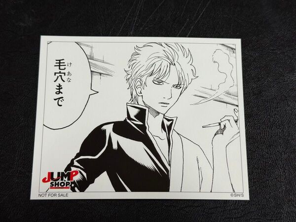 【未使用】銀魂 土方十四郎 入れ替わり 銀時 銀魂写真館 JUMP SHOP 非売品 ステッカー