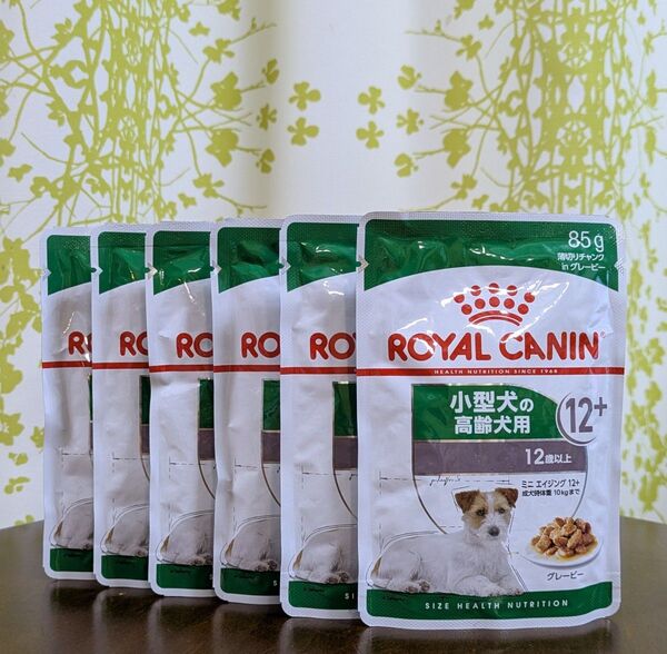 ロイヤルカナン 小型犬の高齢犬用 12歳以上 ミニエイジング 85g×6個 ROYAL CANIN