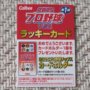 カルビー2025プロ野球チップス ラッキーカード