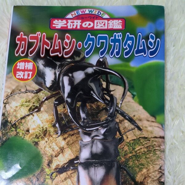 ニューワイド学研の図鑑 13 カブトムシクワガタムシ