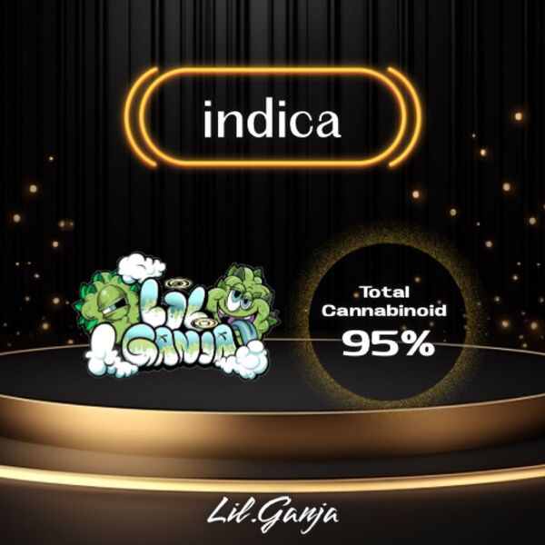 Indiba仕様【1.0ml】