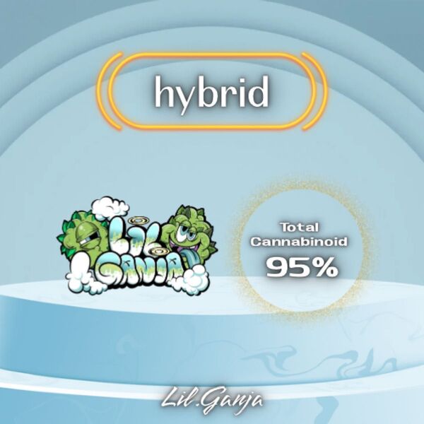 Hybrid仕様【1.0ml】