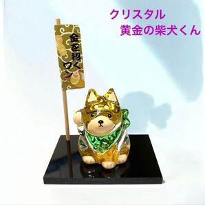 クリスタル柴犬の置物 金色 招き犬 のぼり、塗り台付 ガラス 可愛い 新品