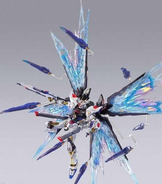 METAL BUILD ストライクフリーダムガンダム FESTIVAL2024+ 光の翼オプションセット+ラクスおまけポスター付