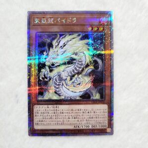 遊戯王 ・天盃龍パイドラ・クオシク