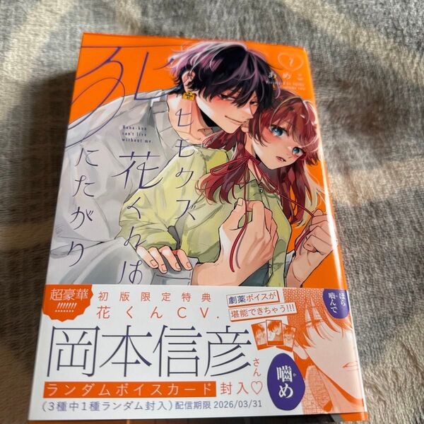 ヒモクズ花くんは死にたがり 2 (KCデザート) あめこ/著