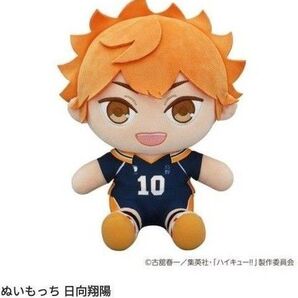 ハイキュー!! ぬいもっち上位等級コンプリートセット【最終値下げ】