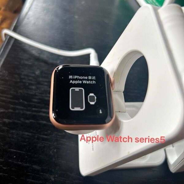 Apple GPS Series5 GPSモデル