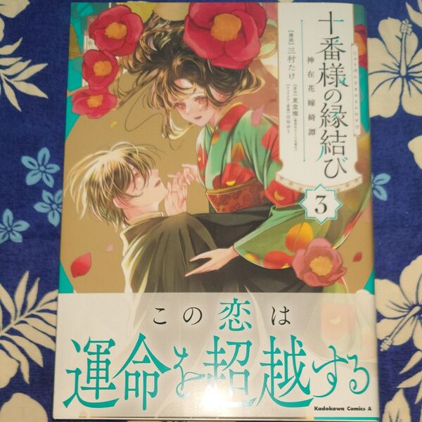 十番様の縁結び 神在花嫁綺譚3巻/三村たけ