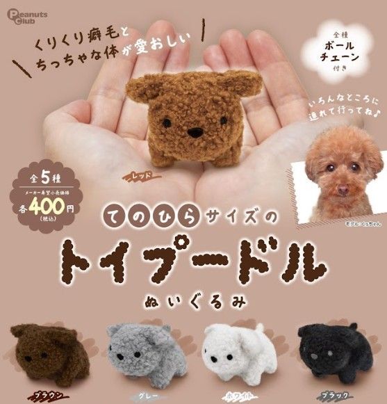 てのひらサイズのトイプードル ぬいぐるみ 全5種 コンプリート