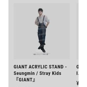 Stray Kids Seungmin アクリルスタンド GIANT