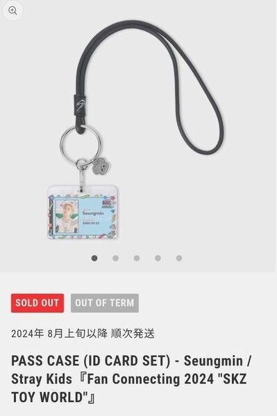 Stray Kids スンミン パスケース IDカードセット