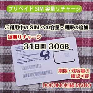 短期リチャージ・31日間30GB #冬狐堂
