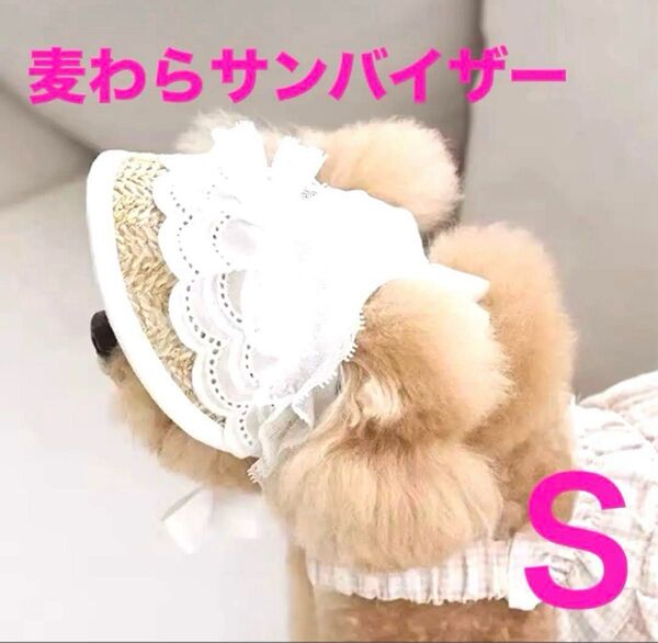 【新品】限定1点 犬用 麦わら帽子 サンバイザー レース ホワイト 紫外線予防 白内障予防 耳穴有り Sサイズ