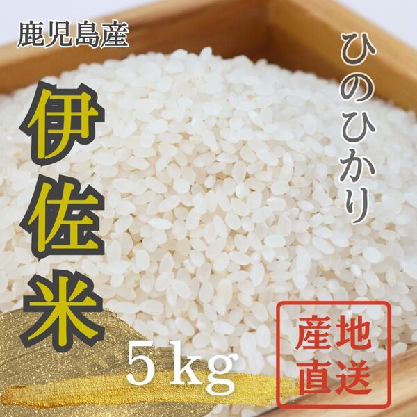 【送料無料】伊佐米 白米5kg(令和6年)