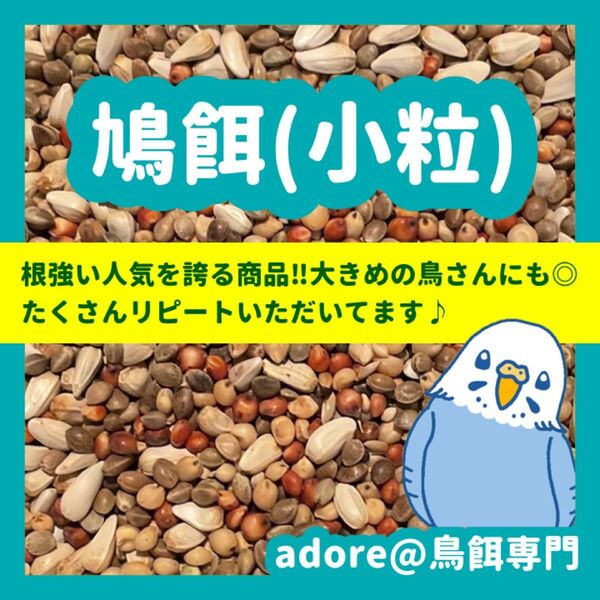 鳩の餌(小粒)800g