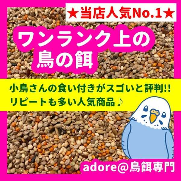 【1番人気商品】ワンランク上の鳥の餌 800g