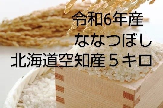 北海道空知産 令和6年新米 ななつぼし 5キロ 精米