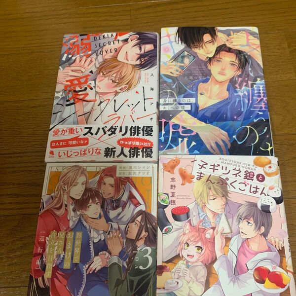 BLコミック 4冊セット BL小説 BL新刊