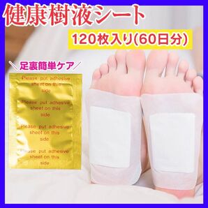 足裏樹液シート 120枚 健康 むくみ 痛み 足裏シート 旅行 個包装 緩和 ストレス フットケア