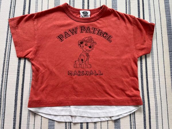 パウパト マーシャル Tシャツ 半袖 95cm サマンサモスモス ラーゴム