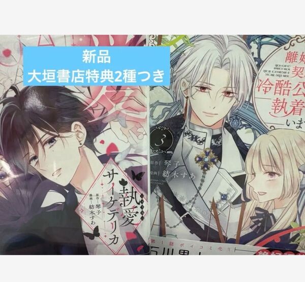 執愛サイケデリカ 離婚予定の契約婚なのに、冷酷公爵様に執着されています(3) 大垣書店特典付き