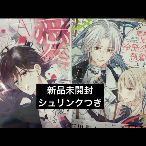 〈新品〉執愛サイケデリカ 離婚予定の契約婚なのに、冷酷公爵様に執着されています(3)
