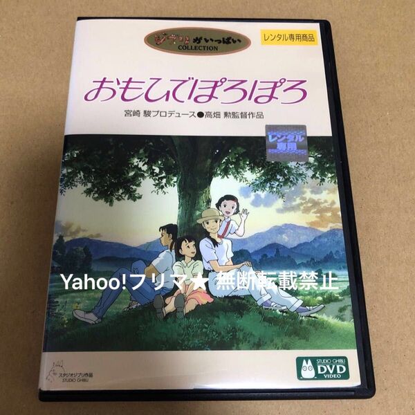 DVD ジブリ おもひでぽろぽろ ※訳あり