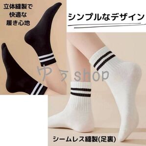 【新商品】レディースソックス 10足セット オールシーズン ボーダー