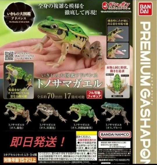 いきもの大図鑑 アドバンス トノサマガエル 全4種フルコンプセット