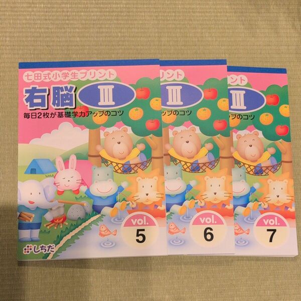 七田式 小学生プリント 右脳ⅲ 5 6 7