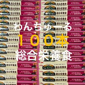 いなば わんちゅーる ワンチュール 犬 ちゅーるごはん 総合栄養食 とりささみ&ビーフ緑黄色野菜 14g×100本
