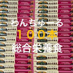 いなば わんちゅーる ワンチュール 犬 ちゅーるごはん 総合栄養食 とりささみ&ビーフ緑黄色野菜 14g×100本